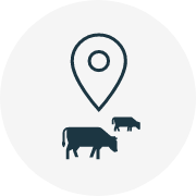 livestock care systems