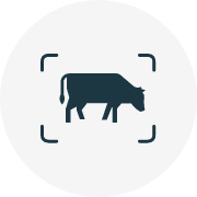 livestock care systems