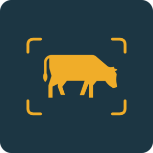 Livestock care systems